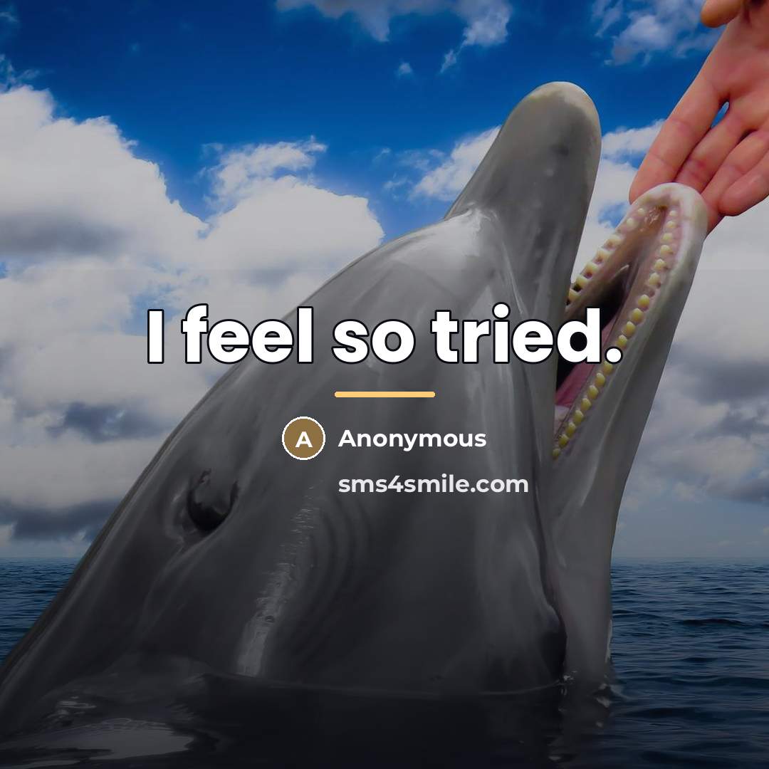 “I feel so tried.…” quote by Anonymous