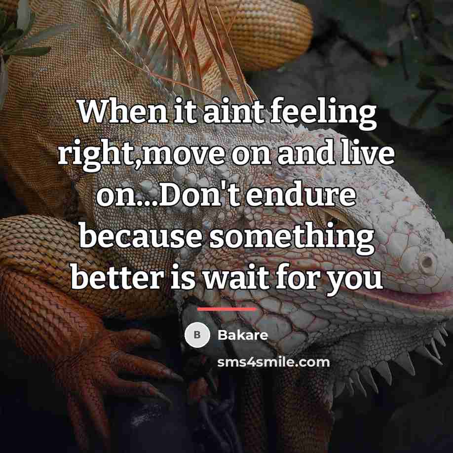“When it aint feeling right,move on and live on...Don't endure…” quote by Bakare