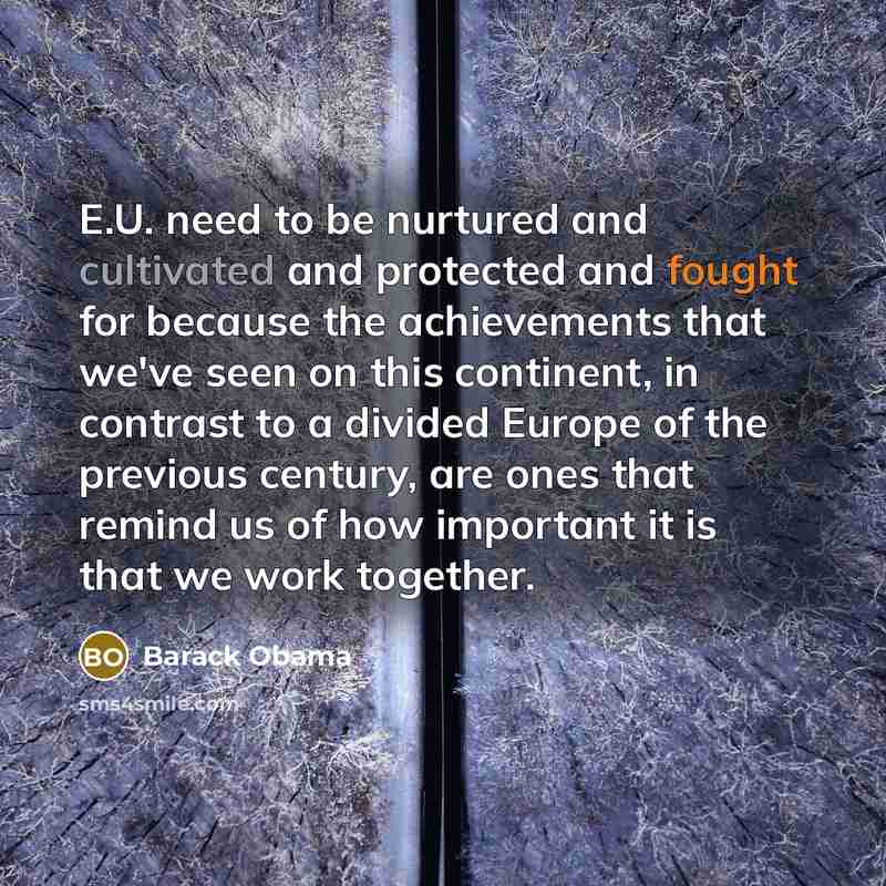“E.U. need to be nurtured and cultivated and protected and…” quote by Barack Obama