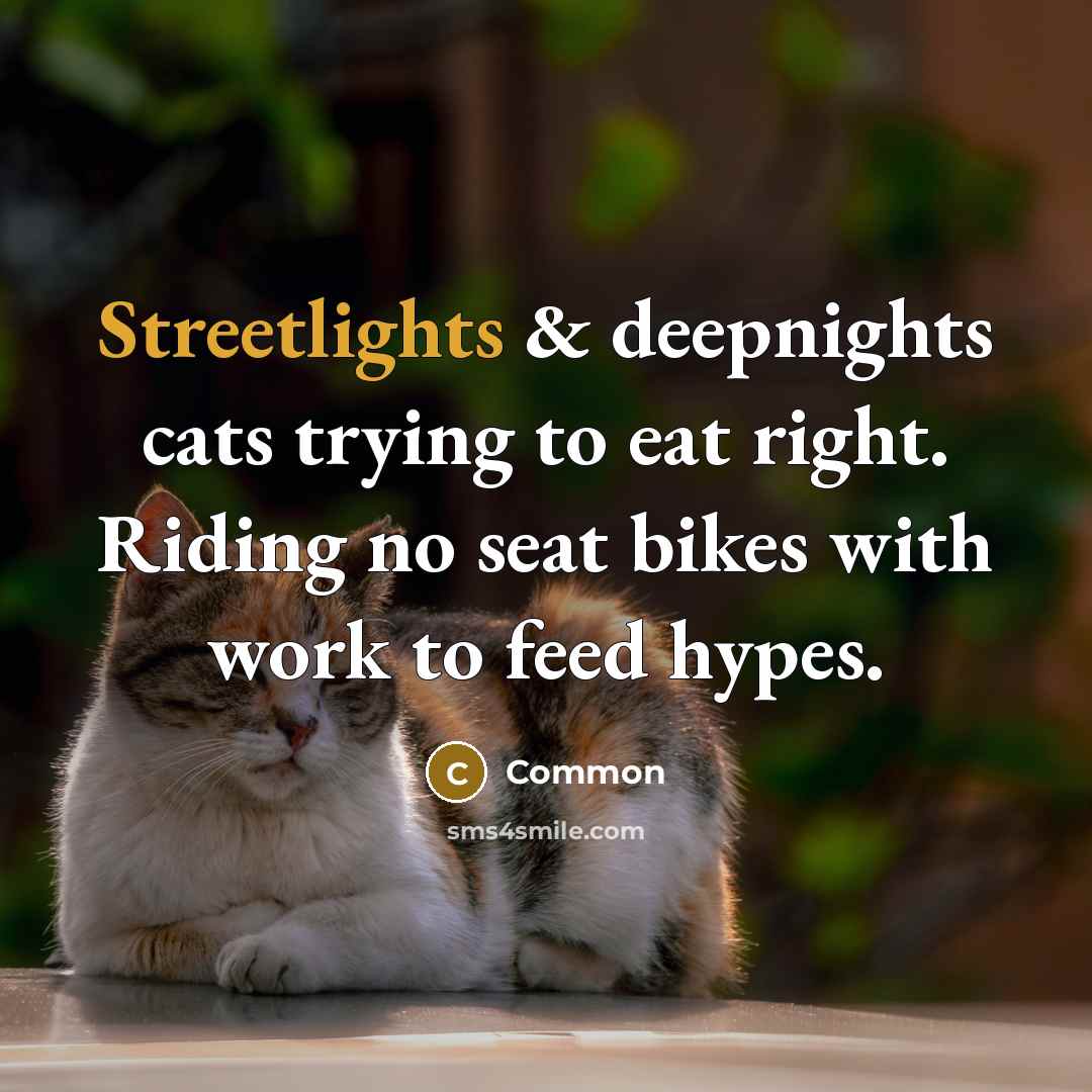 “Streetlights & deepnights cats trying to eat right. Riding no seat bikes with work to feed hypes.” quote by Common
