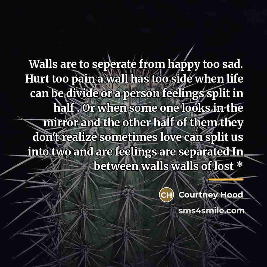 “Walls are to seperate from happy too sad. Hurt too…” quote by Courtney Hood