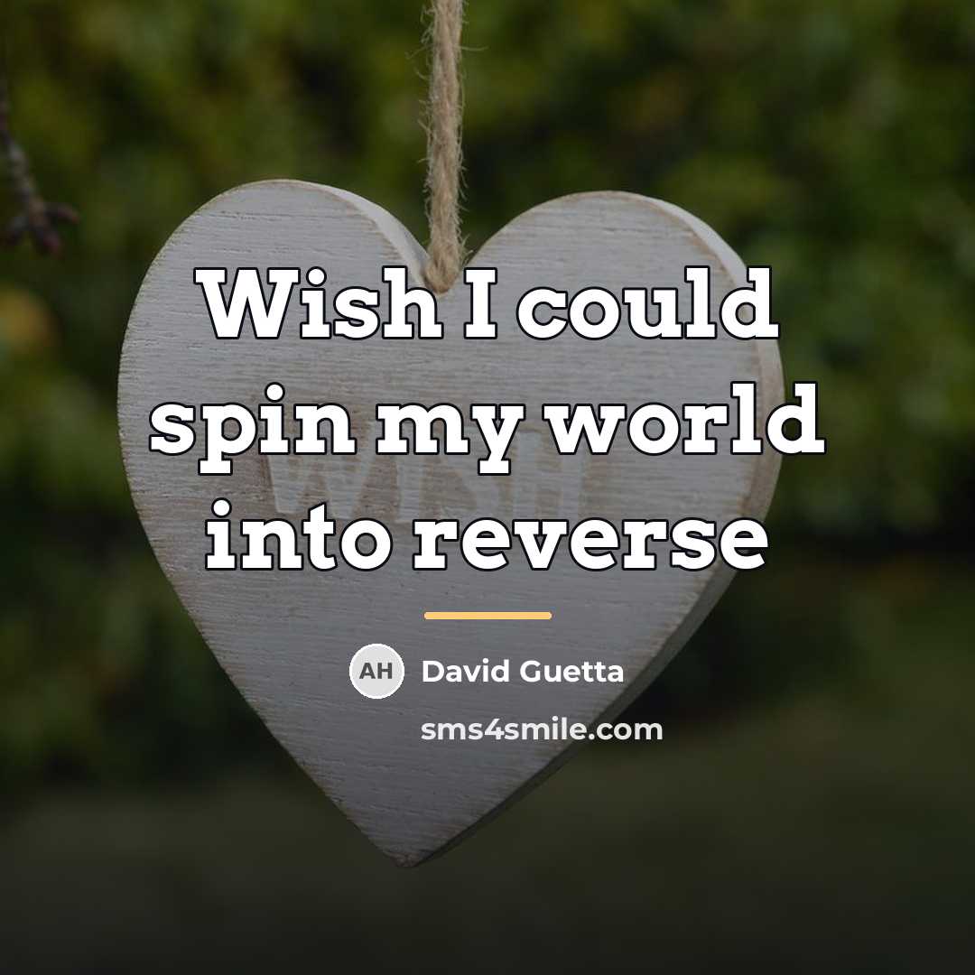 “Wish I could spin my world into reverse…” quote by David Guetta