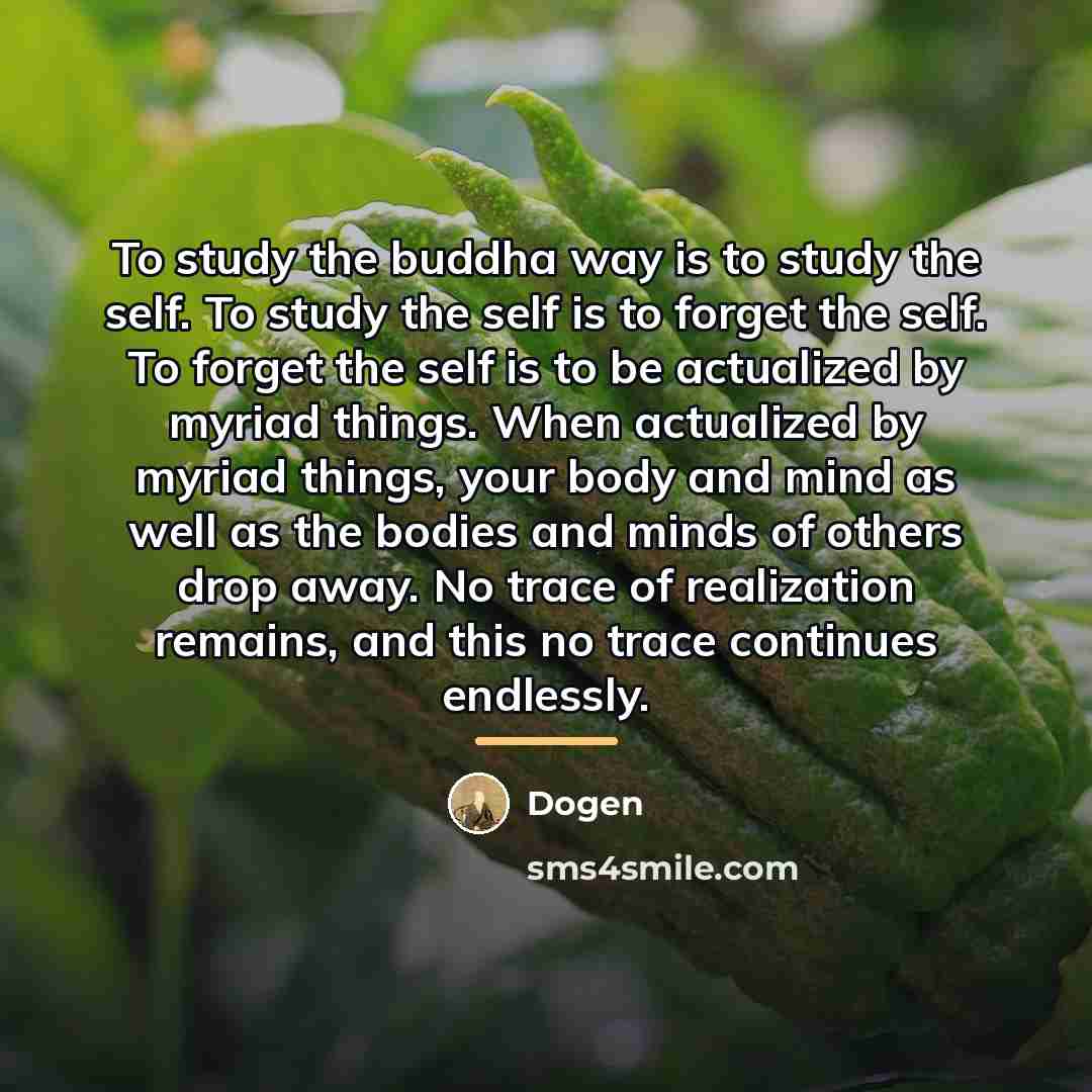“To study the buddha way is to study the self.…” quote by Dogen