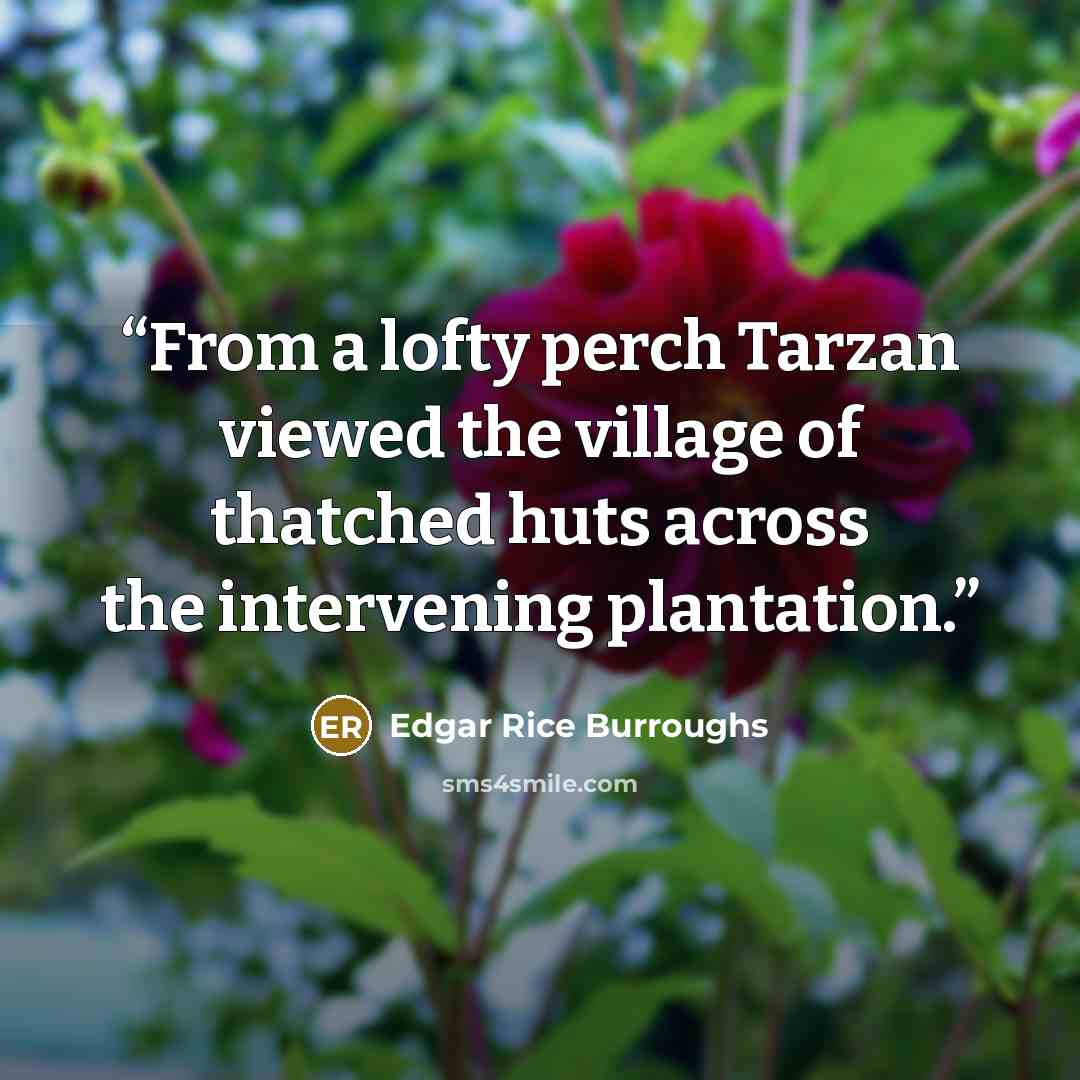 “From a lofty perch Tarzan viewed the village of thatched huts across the intervening plantation.” quote by Edgar Rice Burroughs