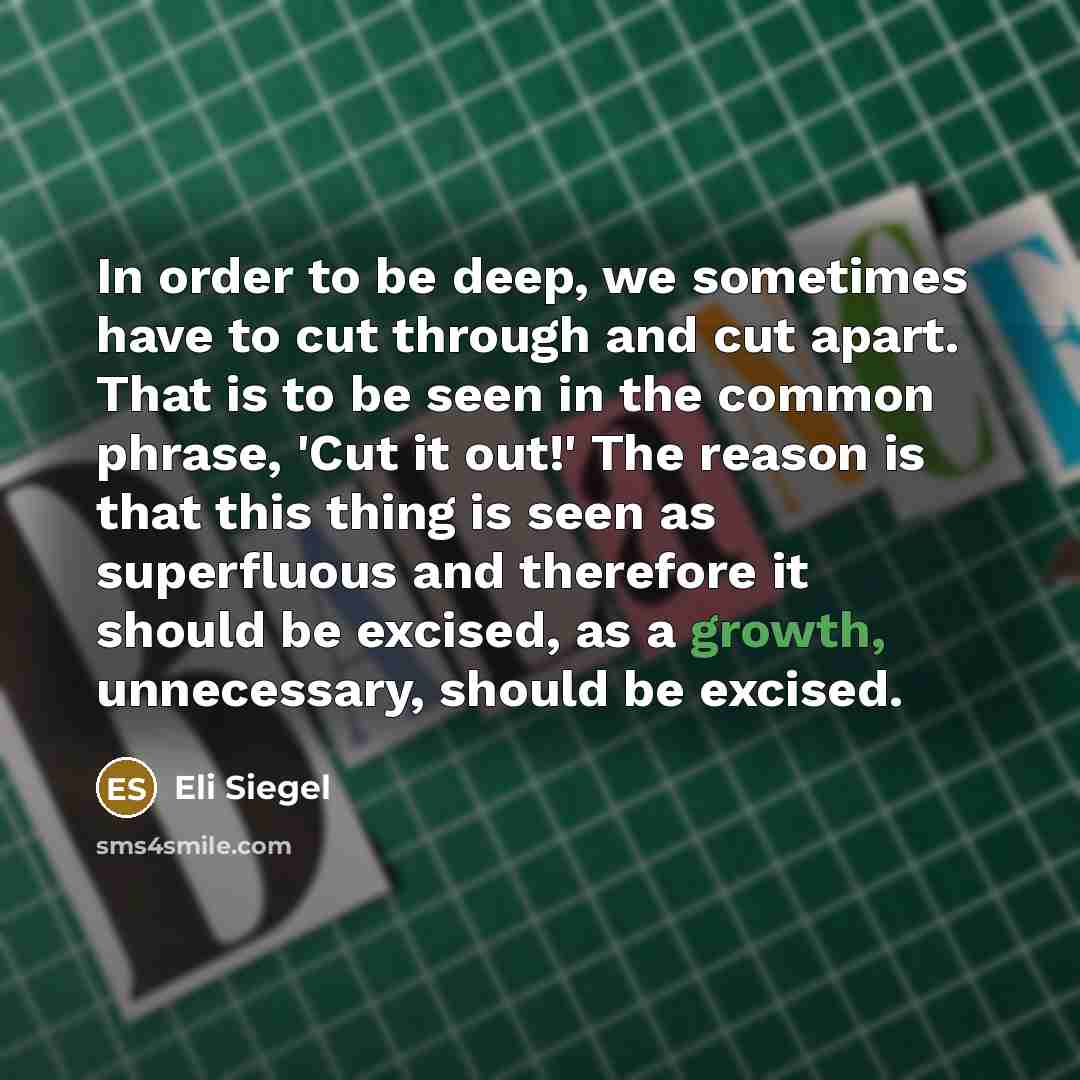 “In order to be deep, we sometimes have to cut…” quote by Eli Siegel