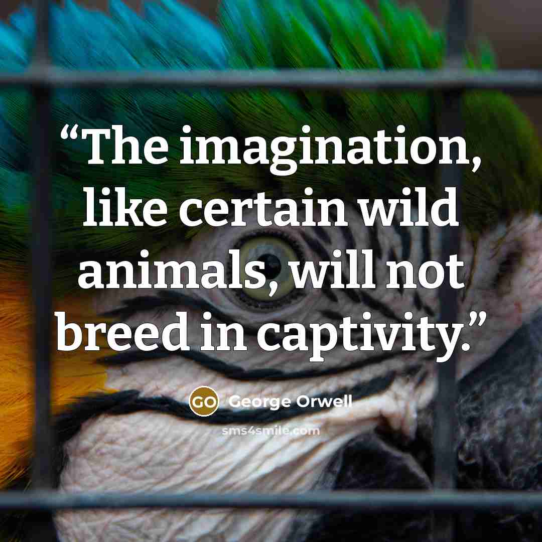 “The imagination, like certain wild animals, will not breed in captivity.” quote by George Orwell