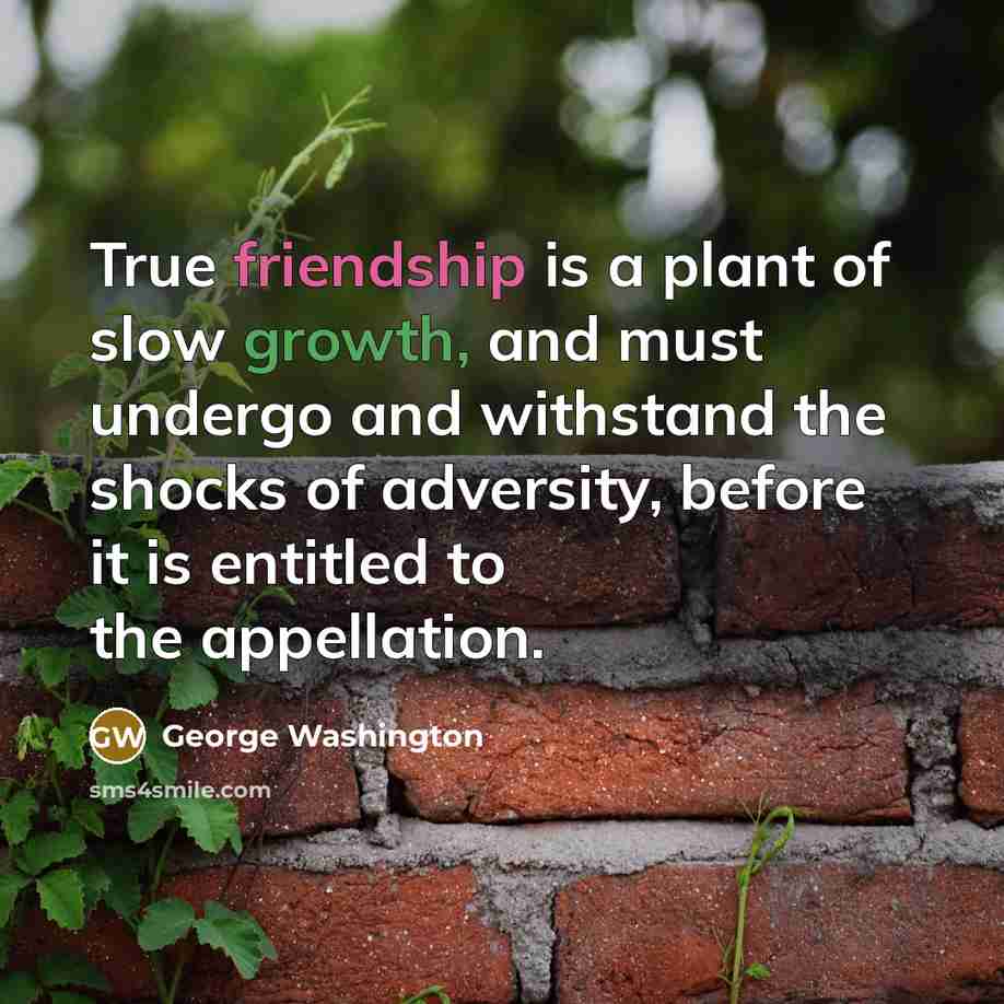 “True friendship is a plant of slow growth, and must…” quote by George Washington