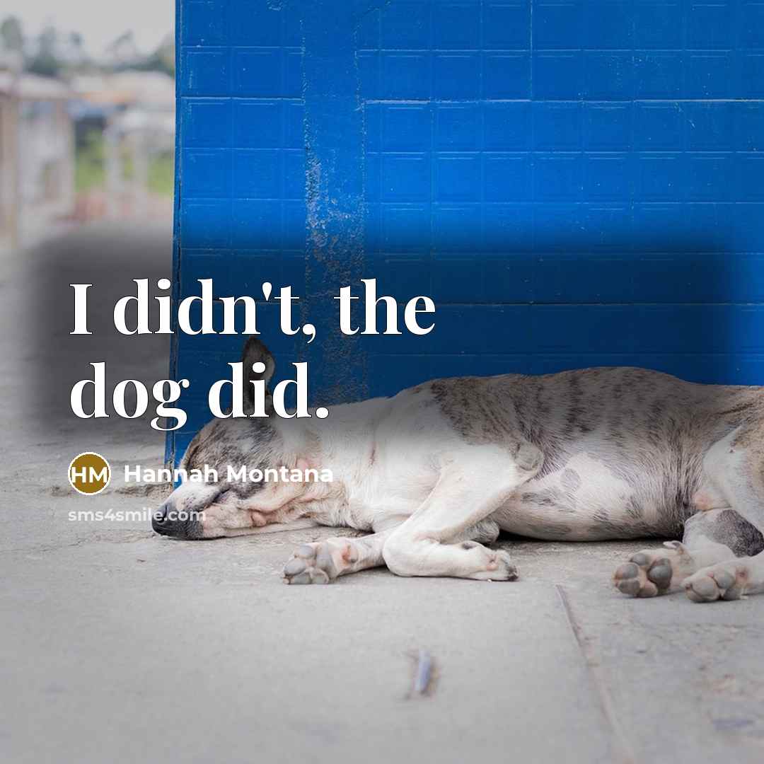“I didn't, the dog did.” quote by Hannah Montana