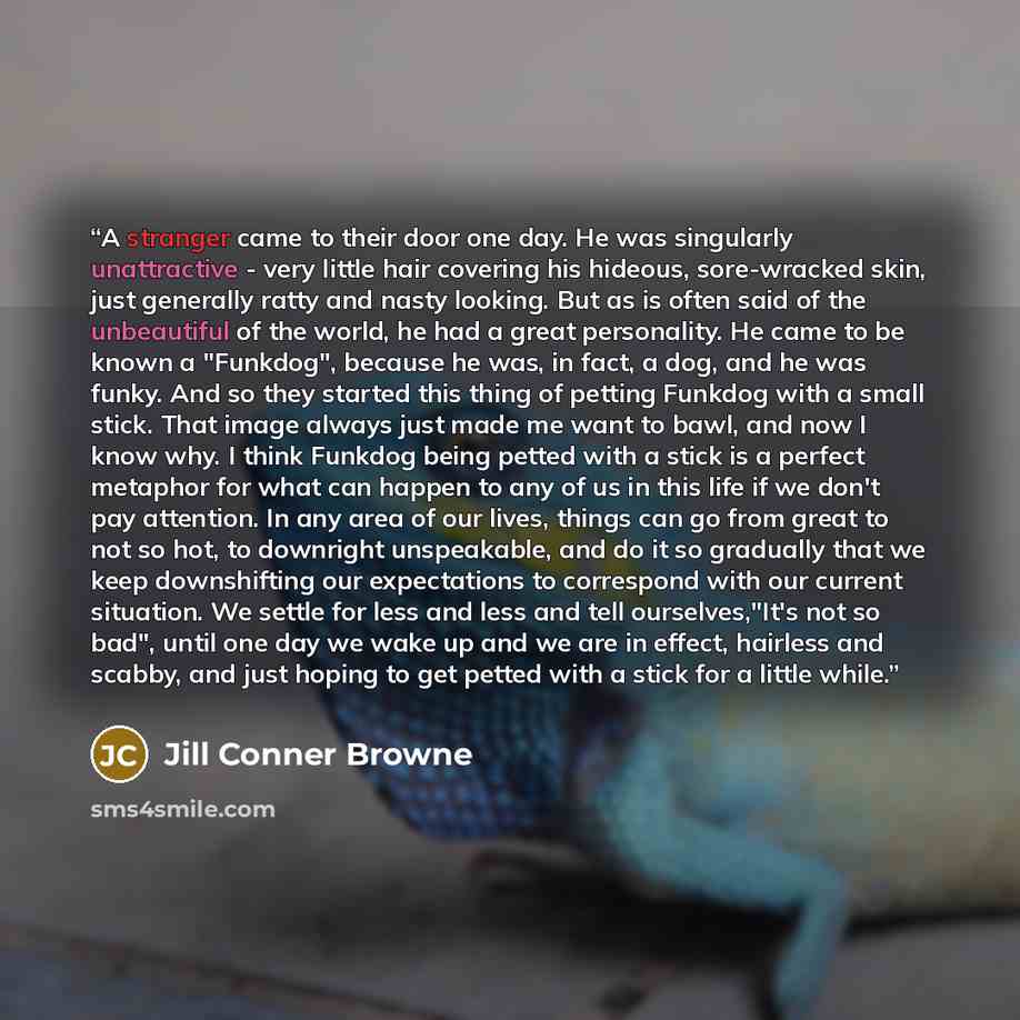 “A stranger came to their door one day. He was singularly unattractive - very little hair covering his hideous, sore-wracked skin, just generally ratty and nasty looking. But as is often said of the unbeautiful of the world, he had a great personality. He came to be known a "Funkdog", because he…” quote by Jill Conner Browne