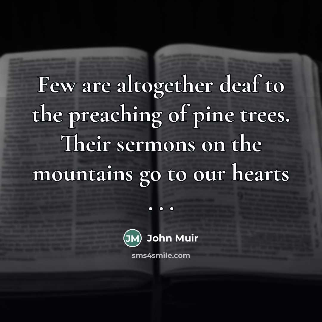 “Few are altogether deaf to the preaching of pine trees.…” quote by John Muir