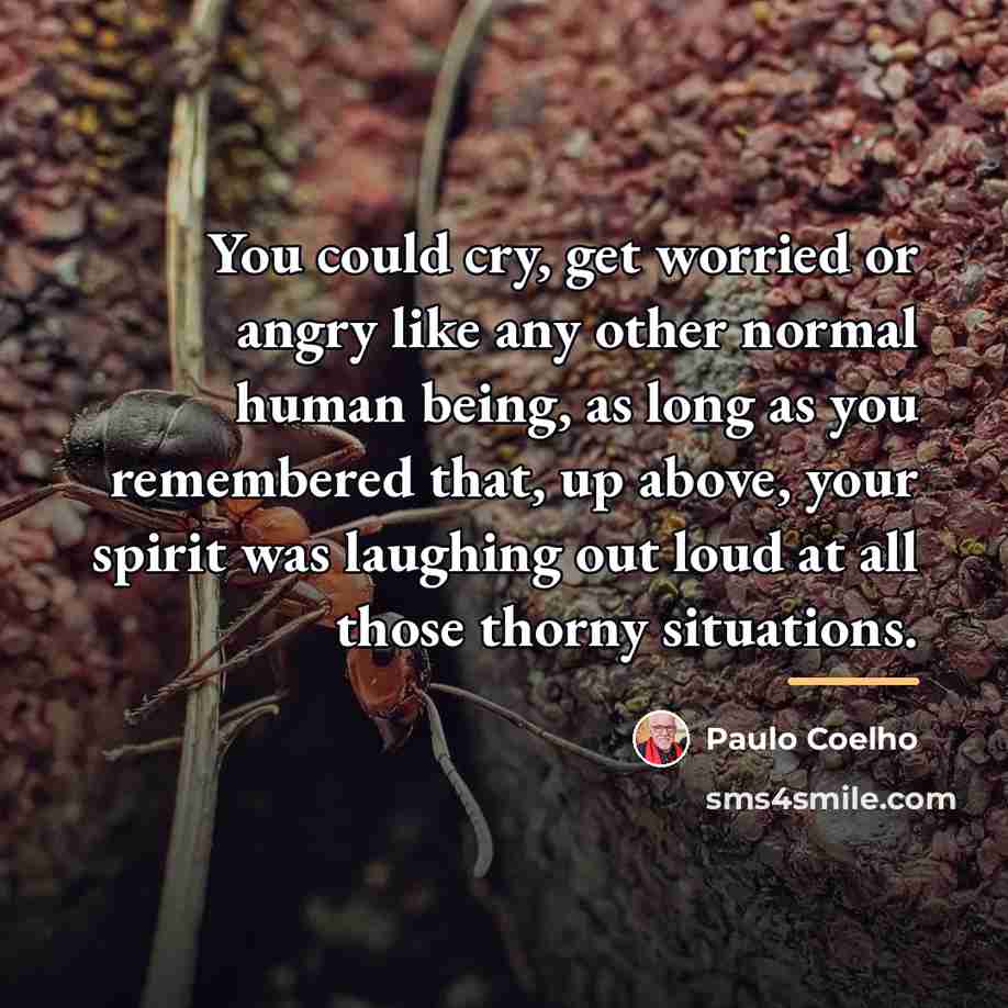 “You could cry, get worried or angry like any other…” quote by Paulo Coelho