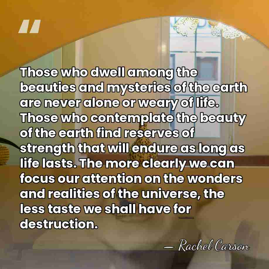 Those who dwell among the beauties and mysteries of the earth are&hellip; - Rachel Carson