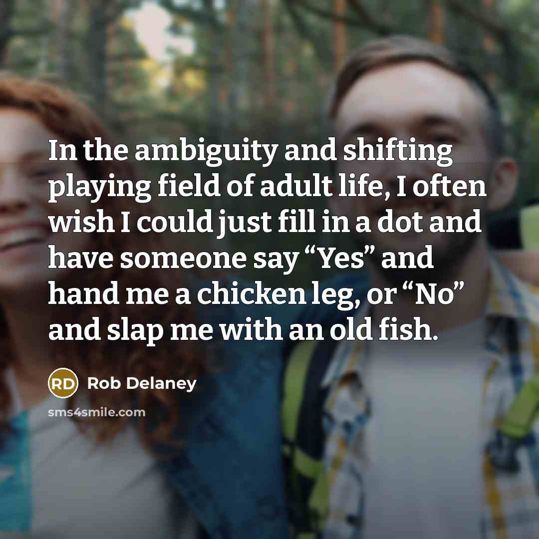 “In the ambiguity and shifting playing field of adult life,…” quote by Rob Delaney