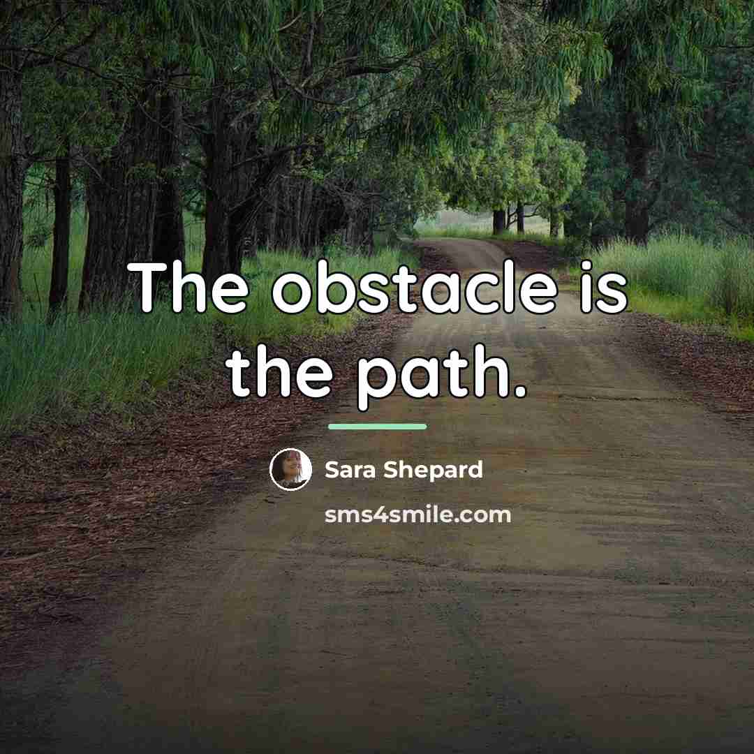 “The obstacle is the path.…” quote by Sara Shepard