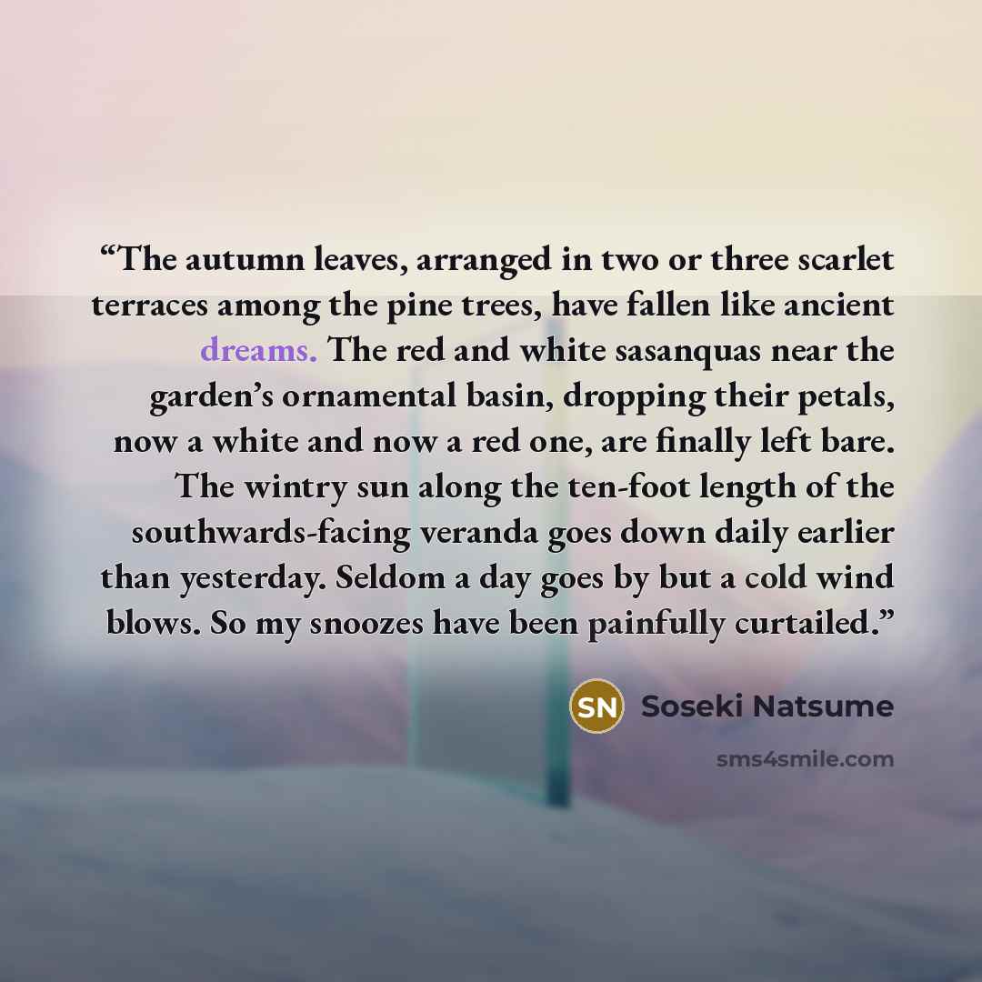 “The autumn leaves, arranged in two or three scarlet terraces among the pine trees, have fallen like ancient dreams. The red and white sasanquas near the garden’s ornamental basin, dropping their petals, now a white and now a red one, are finally left bare. The wintry sun along the ten-foot length…” quote by Sōseki Natsume