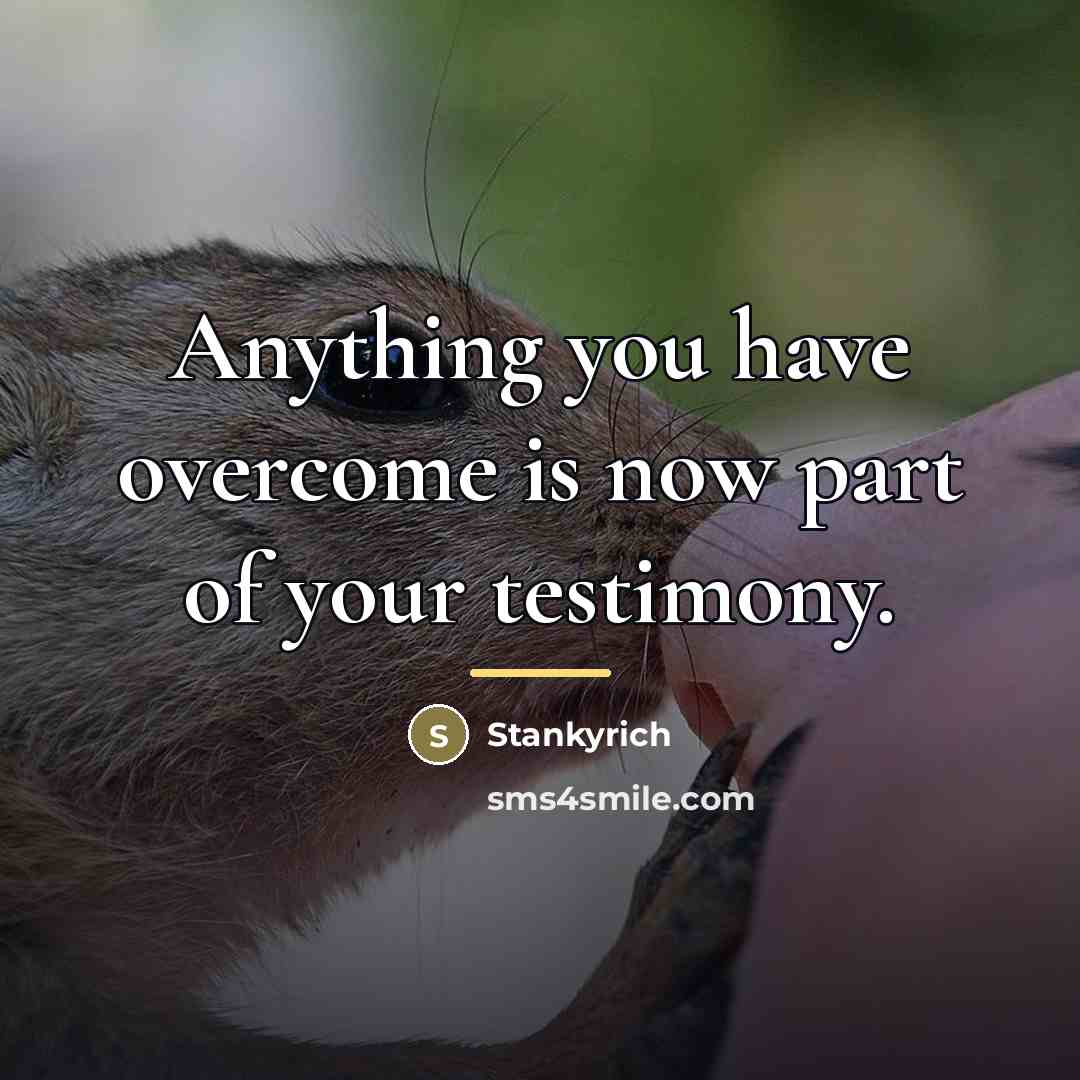 “Anything you have overcome is now part of your testimony.…” quote by Stankyrich