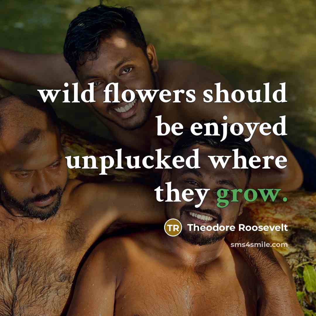 “wild flowers should be enjoyed unplucked where they grow.…” quote by Theodore Roosevelt
