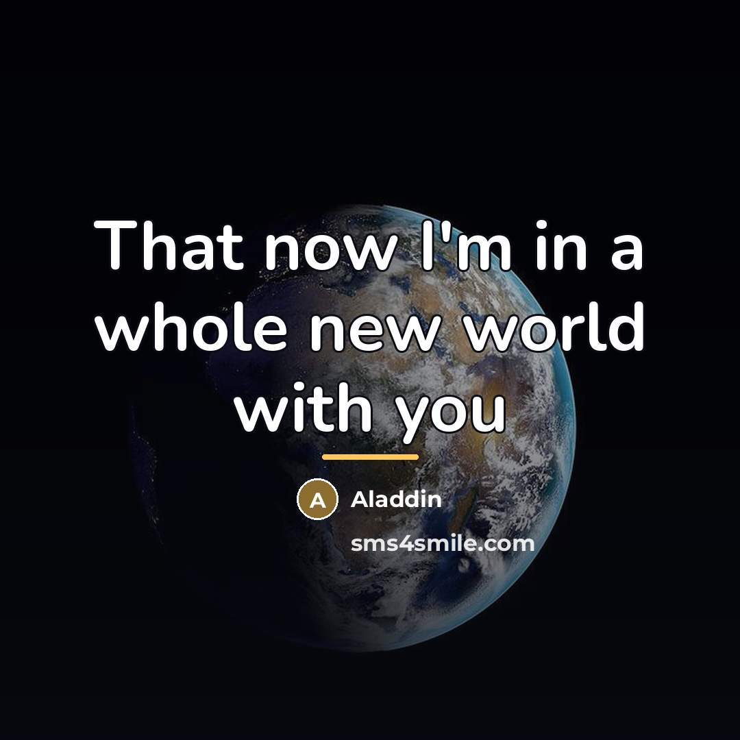 “That now I'm in a whole new world with you…” quote by Aladdin