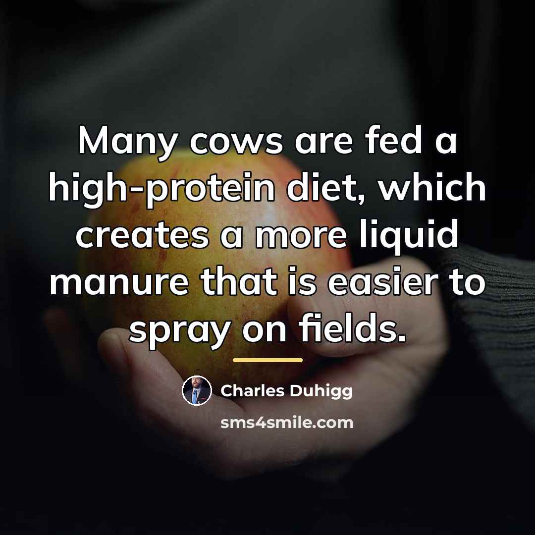 “Many cows are fed a high-protein diet, which creates a…” quote by Charles Duhigg