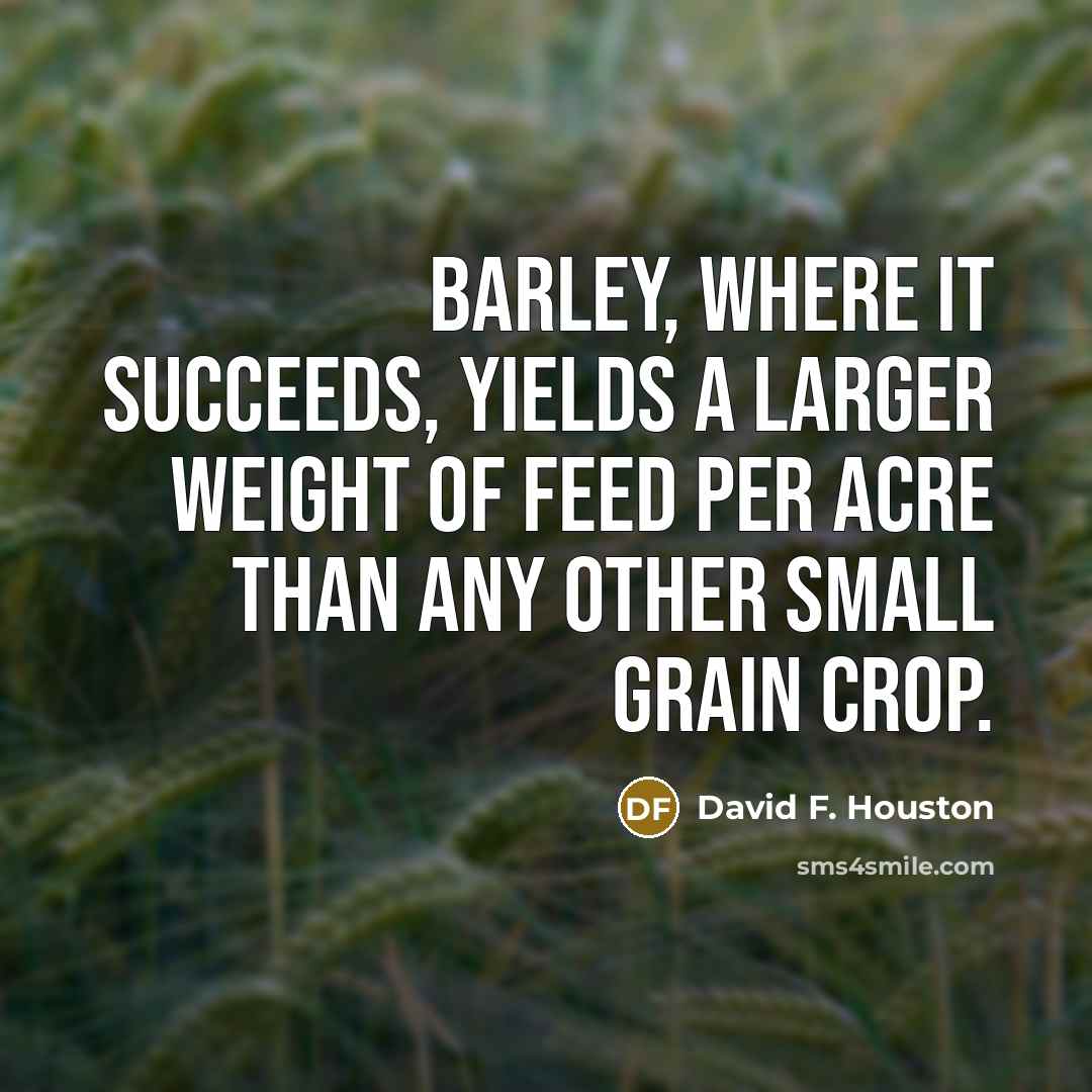 “Barley, where it succeeds, yields a larger weight of feed…” quote by David F. Houston