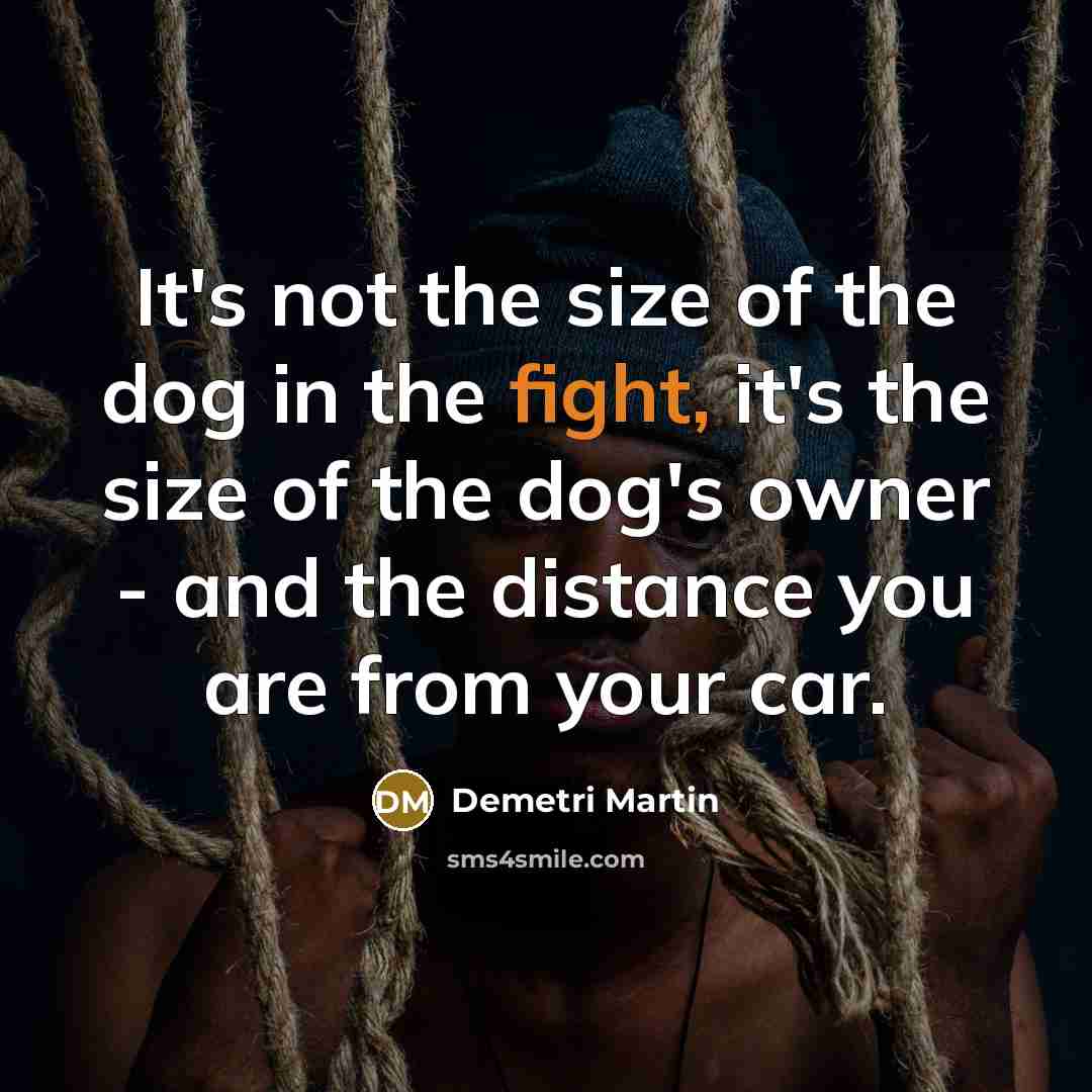 “It's not the size of the dog in the fight,…” quote by Demetri Martin