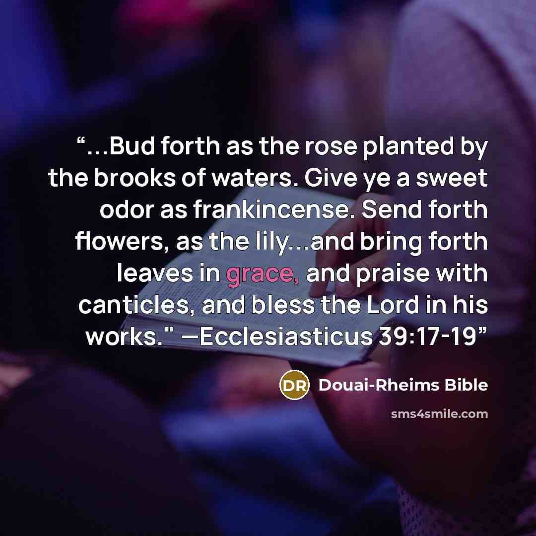 “...Bud forth as the rose planted by the brooks of waters. Give ye a sweet odor as frankincense. Send forth flowers, as the lily...and bring forth leaves in grace, and praise with canticles, and bless the Lord in his works." —Ecclesiasticus 39:17-19” quote by Douai-Rheims Bible