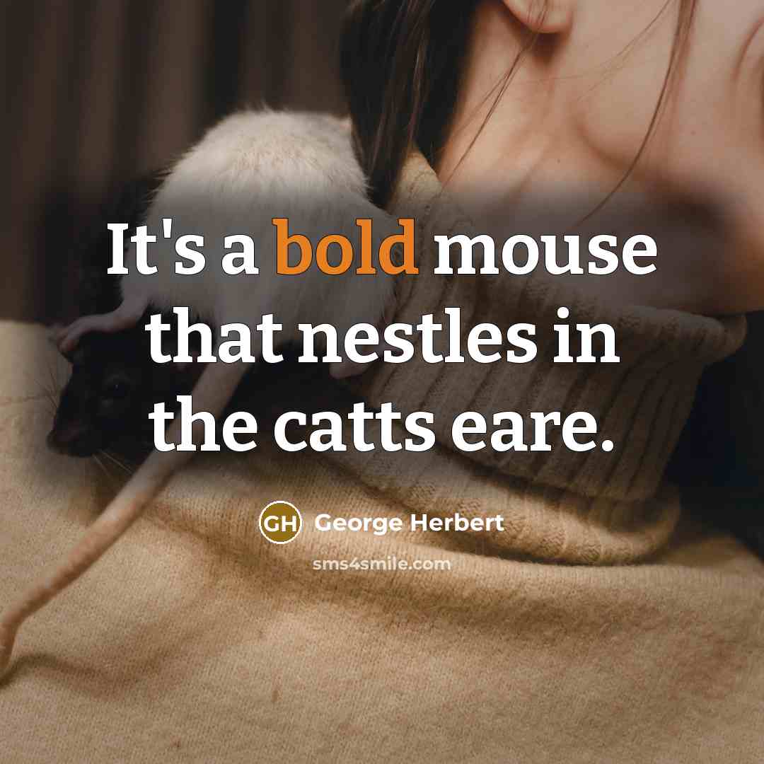 “It's a bold mouse that nestles in the catts eare.…” quote by George Herbert