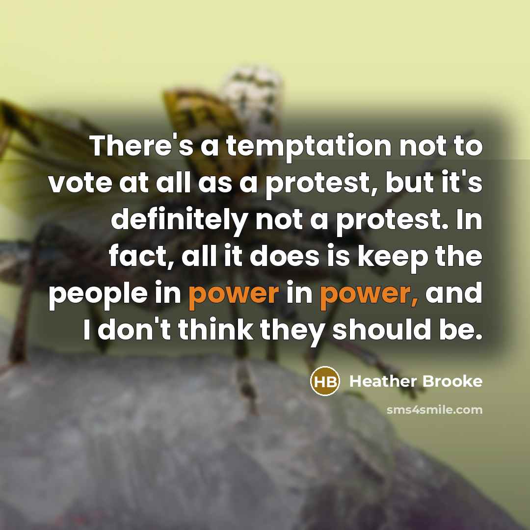 “There's a temptation not to vote at all as a…” quote by Heather Brooke