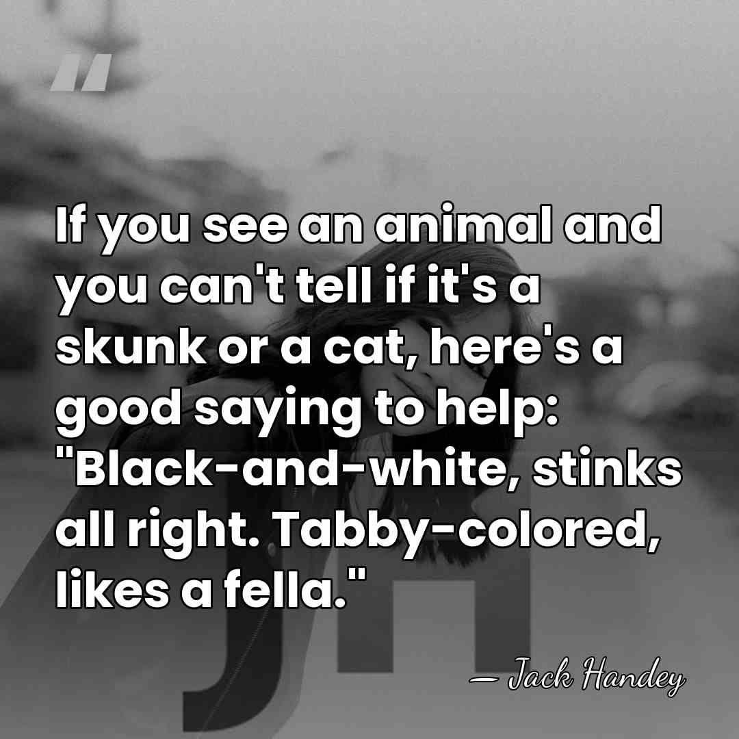 If you see an animal and you can't tell if it's a&hellip; - Jack Handey