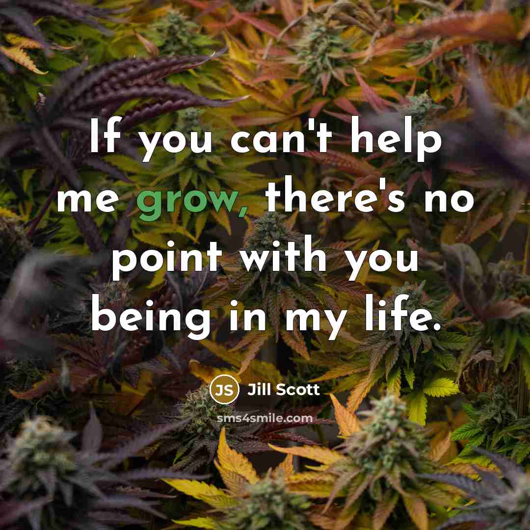 “If you can't help me grow, there's no point with…” quote by Jill Scott
