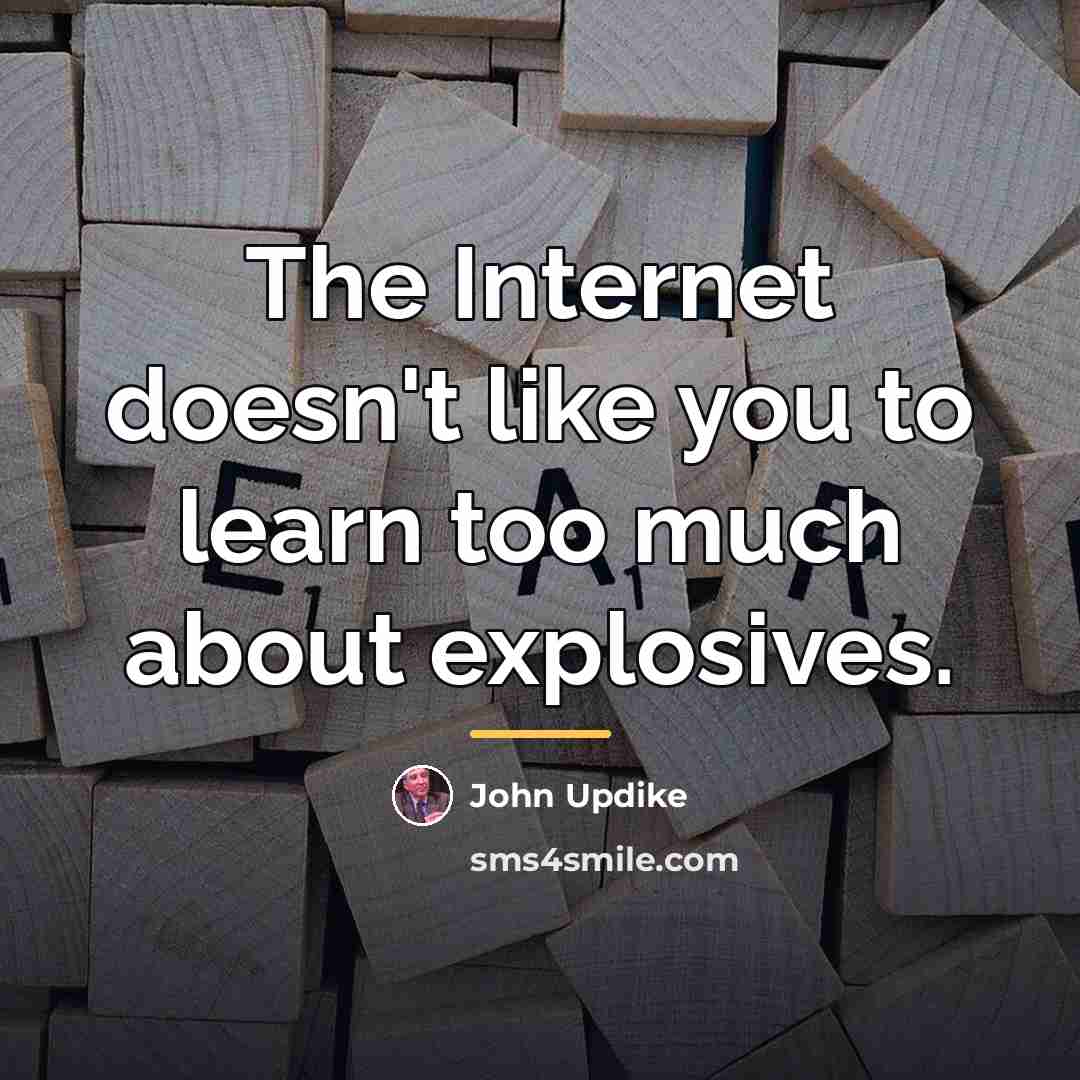 “The Internet doesn't like you to learn too much about…” quote by John Updike