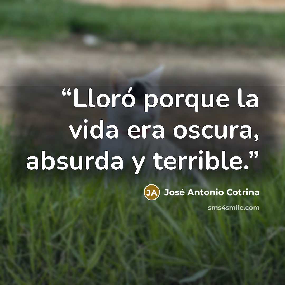 “Lloró porque la vida era oscura, absurda y terrible.” quote by José Antonio Cotrina
