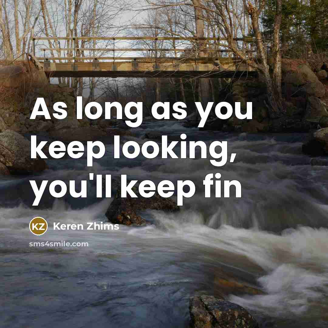 “As long as you keep looking, you'll keep fin” quote by Keren Zhims