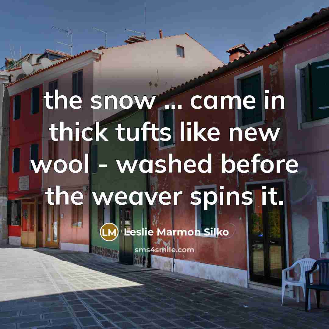 “the snow ... came in thick tufts like new wool…” quote by Leslie Marmon Silko