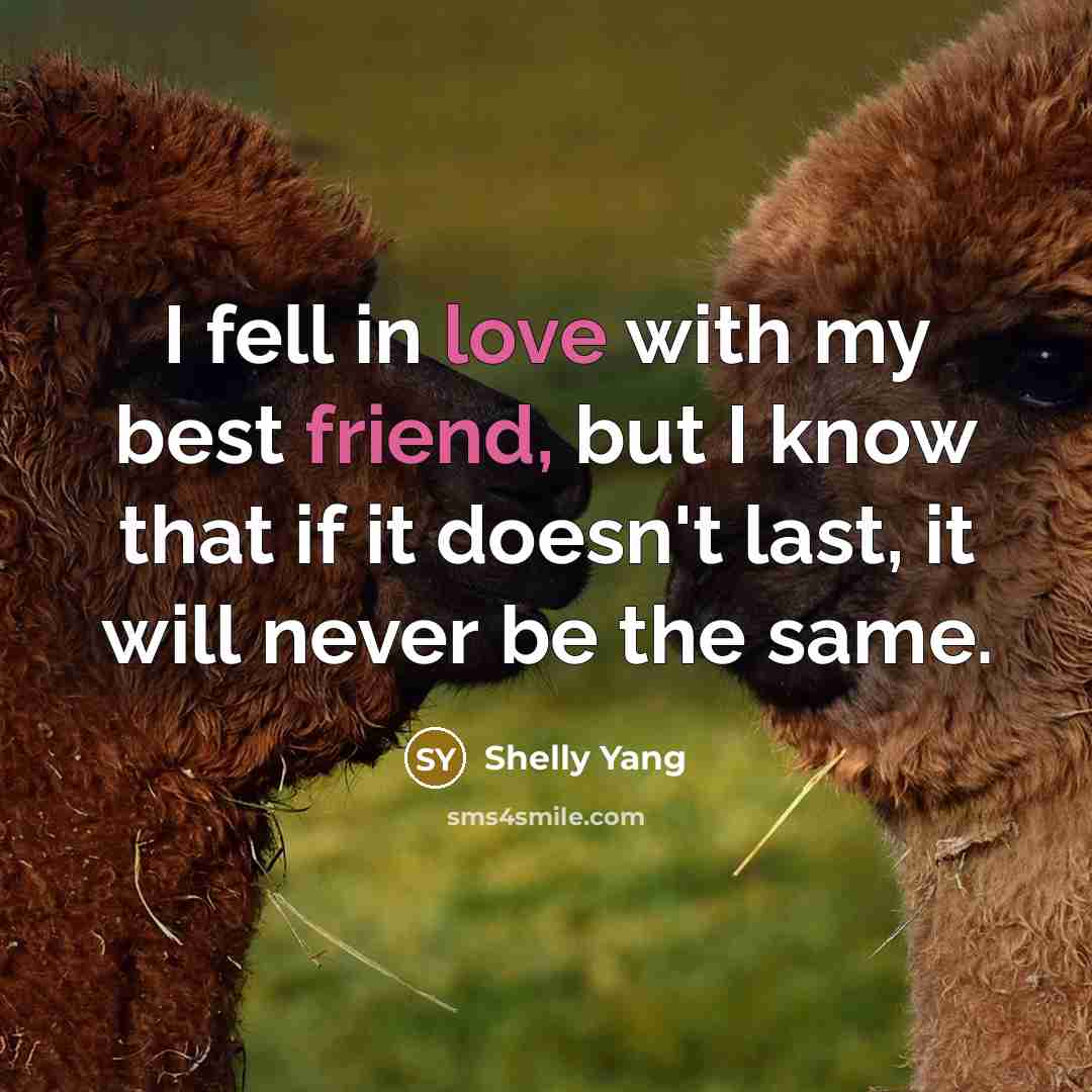 “I fell in love with my best friend, but I…” quote by Shelly Yang