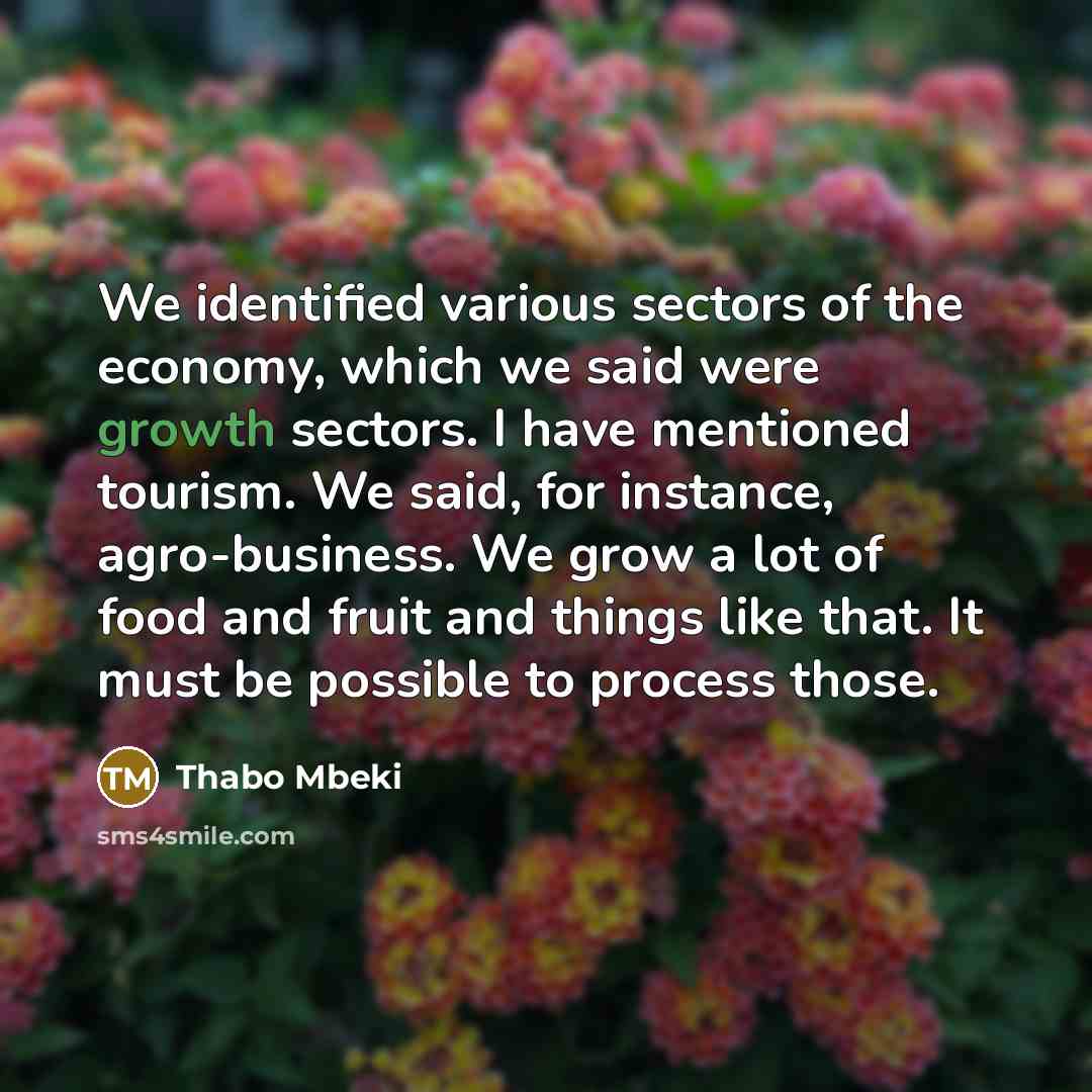 “We identified various sectors of the economy, which we said…” quote by Thabo Mbeki