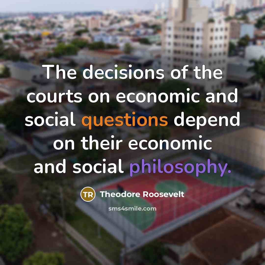 “The decisions of the courts on economic and social questions…” quote by Theodore Roosevelt