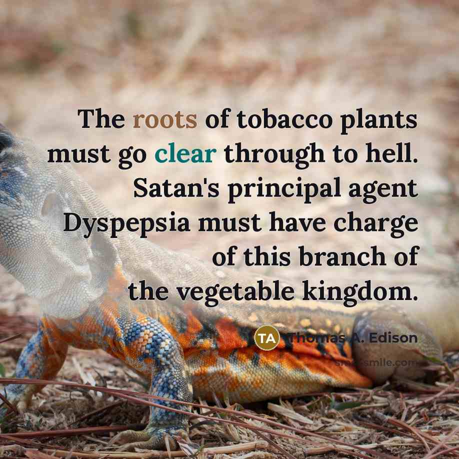 “The roots of tobacco plants must go clear through to…” quote by Thomas A. Edison