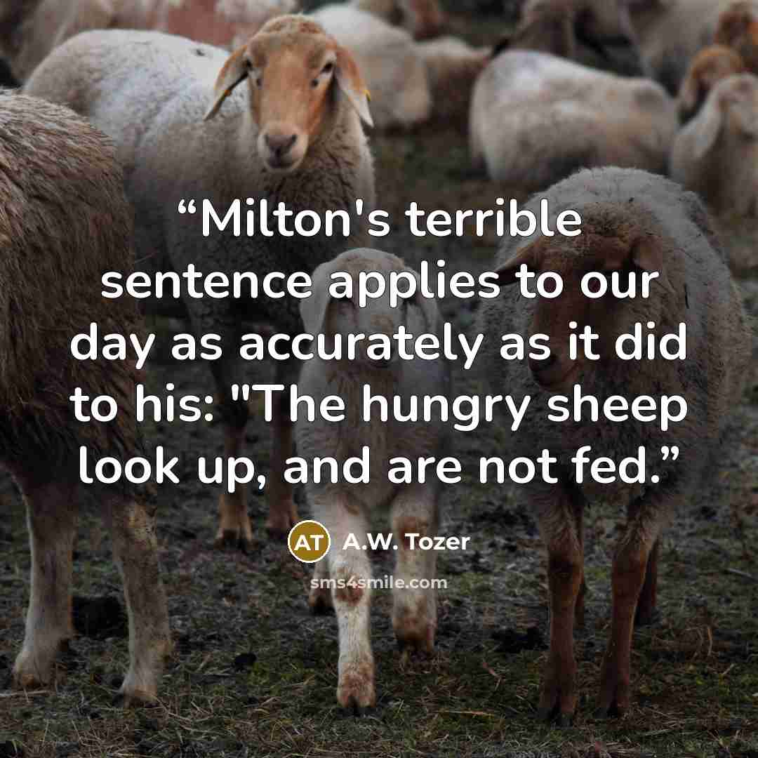“Milton's terrible sentence applies to our day as accurately as it did to his: "The hungry sheep look up, and are not fed.” quote by A.W. Tozer