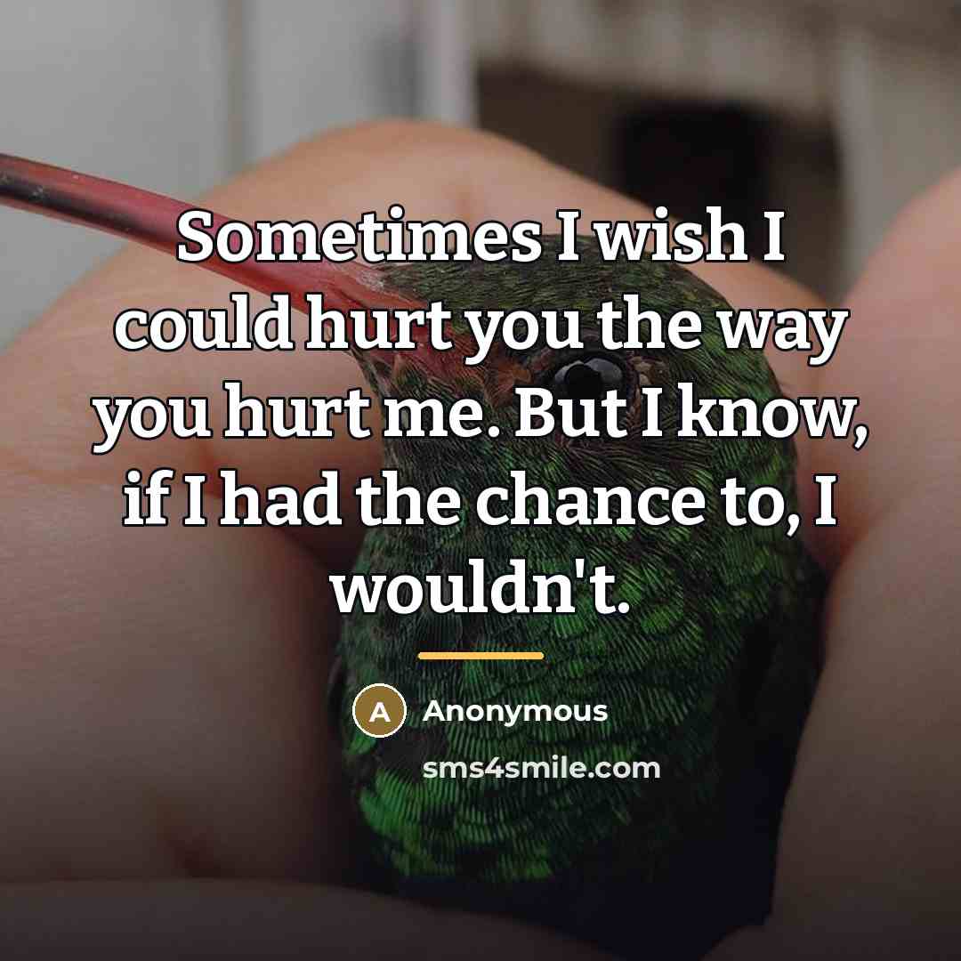 “Sometimes I wish I could hurt you the way you…” quote by Anonymous