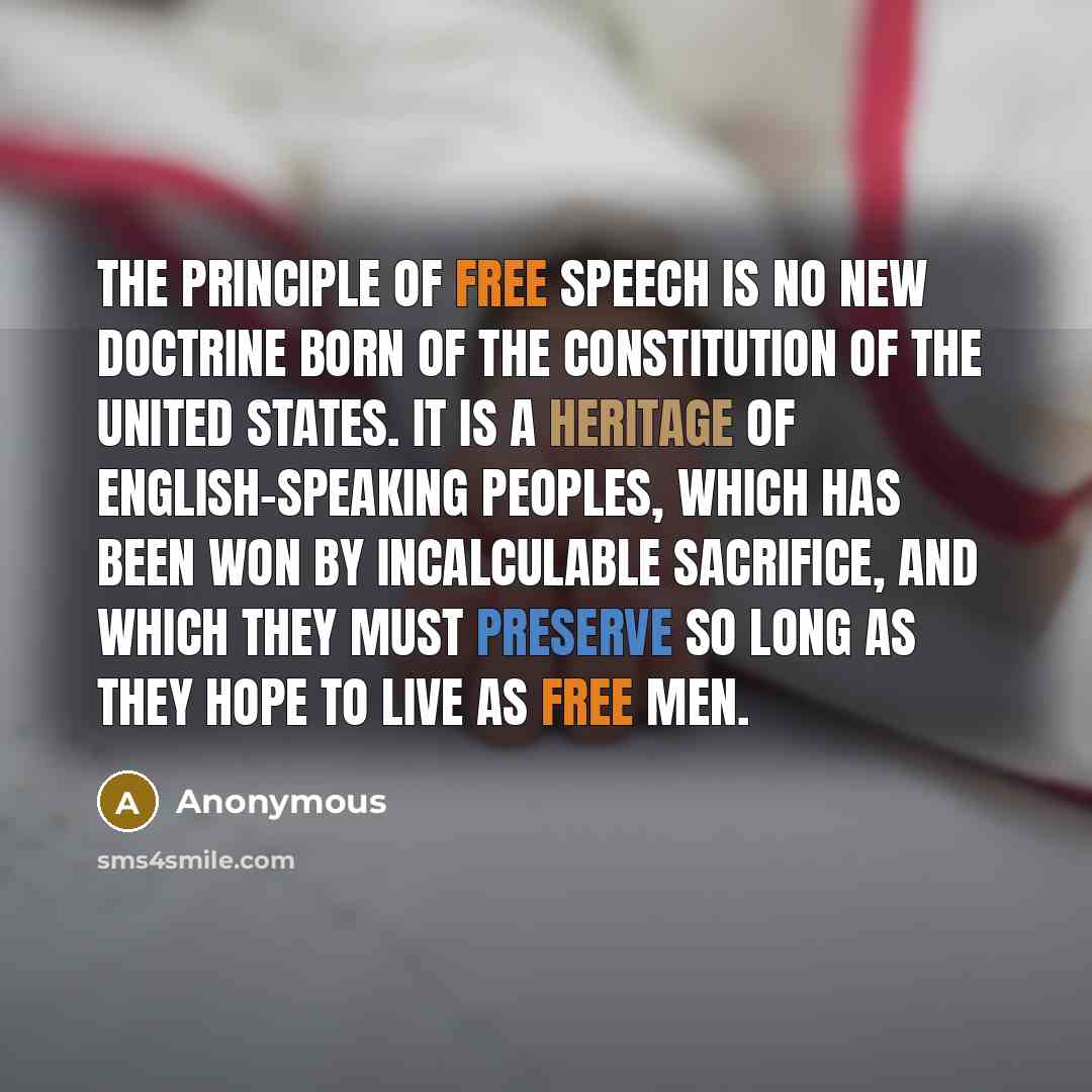 “The principle of free speech is no new doctrine born…” quote by Anonymous