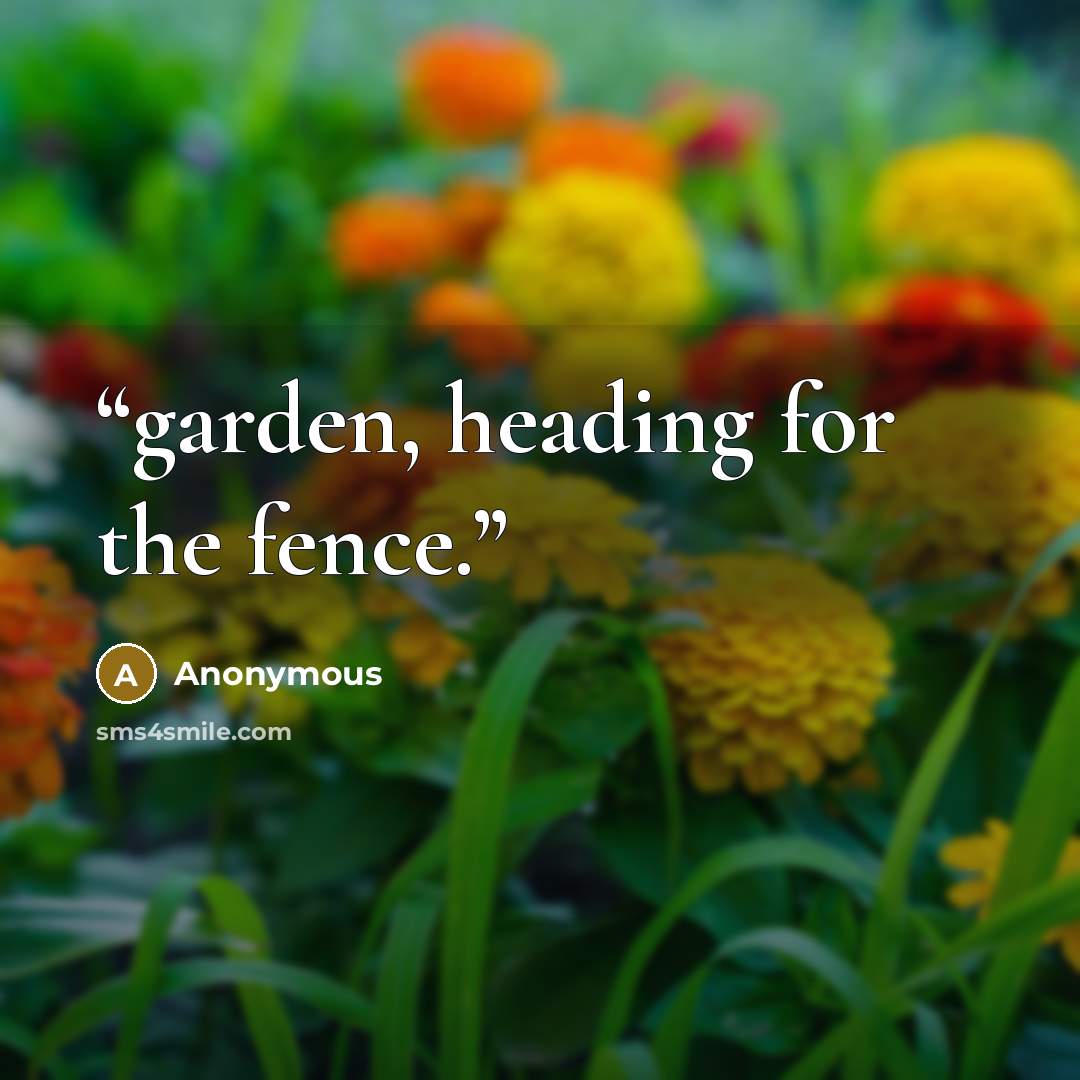 “garden, heading for the fence.” quote by Anonymous