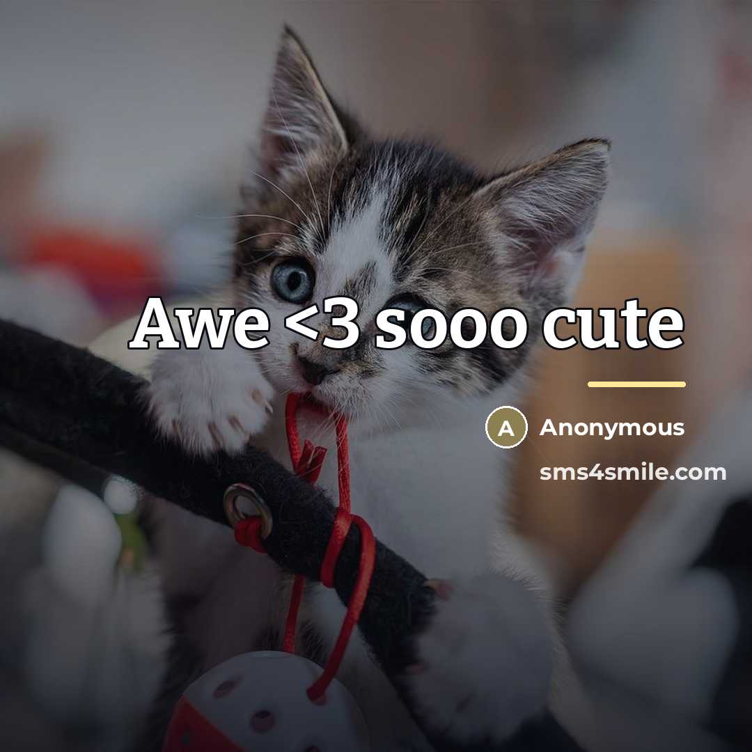 “Awe” quote by Anonymous
