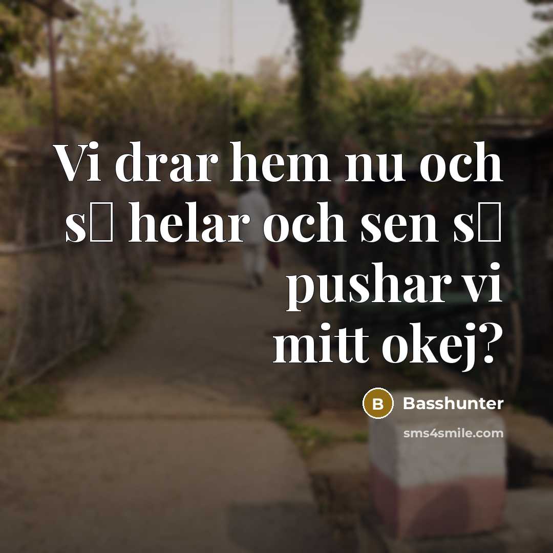 “Vi drar hem nu och s� helar och sen s�…” quote by Basshunter