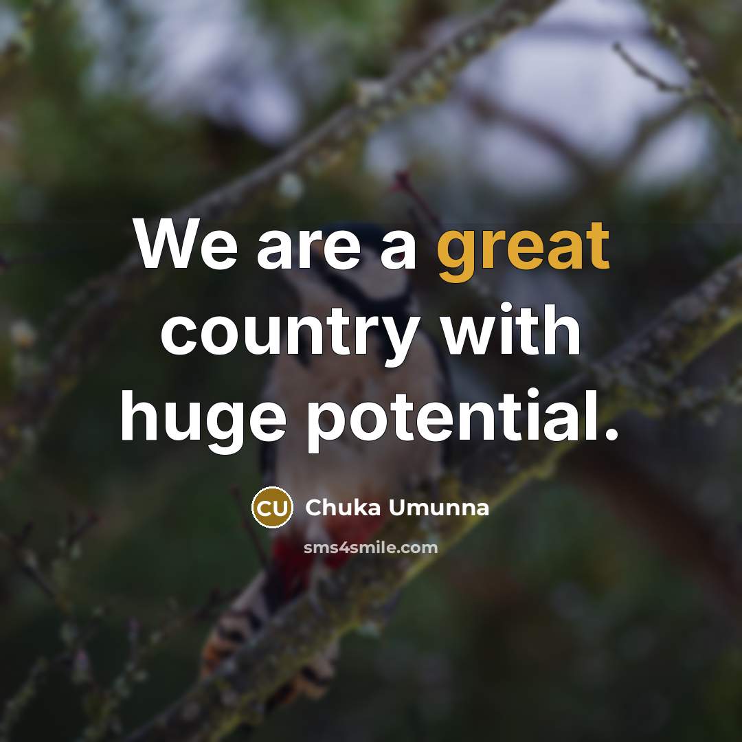 “We are a great country with huge potential.…” quote by Chuka Umunna