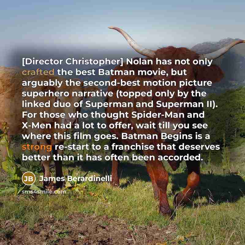 “[Director Christopher] Nolan has not only crafted the best Batman movie, but arguably the second-best motion picture superhero narrative (topped only by the linked duo of Superman and Superman II). For those who thought Spider-Man and X-Men had a lot to offer, wait till you see where this film…” quote by James Berardinelli