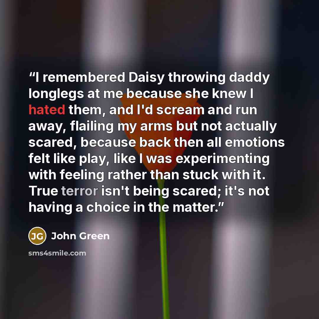 “I remembered Daisy throwing daddy longlegs at me because she knew I hated them, and I'd scream and run away, flailing my arms but not actually scared, because back then all emotions felt like play, like I was experimenting with feeling rather than stuck with it. True terror isn't being scared…” quote by John Green