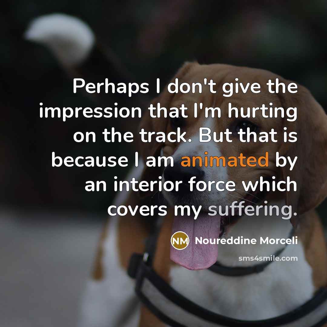 “Perhaps I don't give the impression that I'm hurting on…” quote by Noureddine Morceli