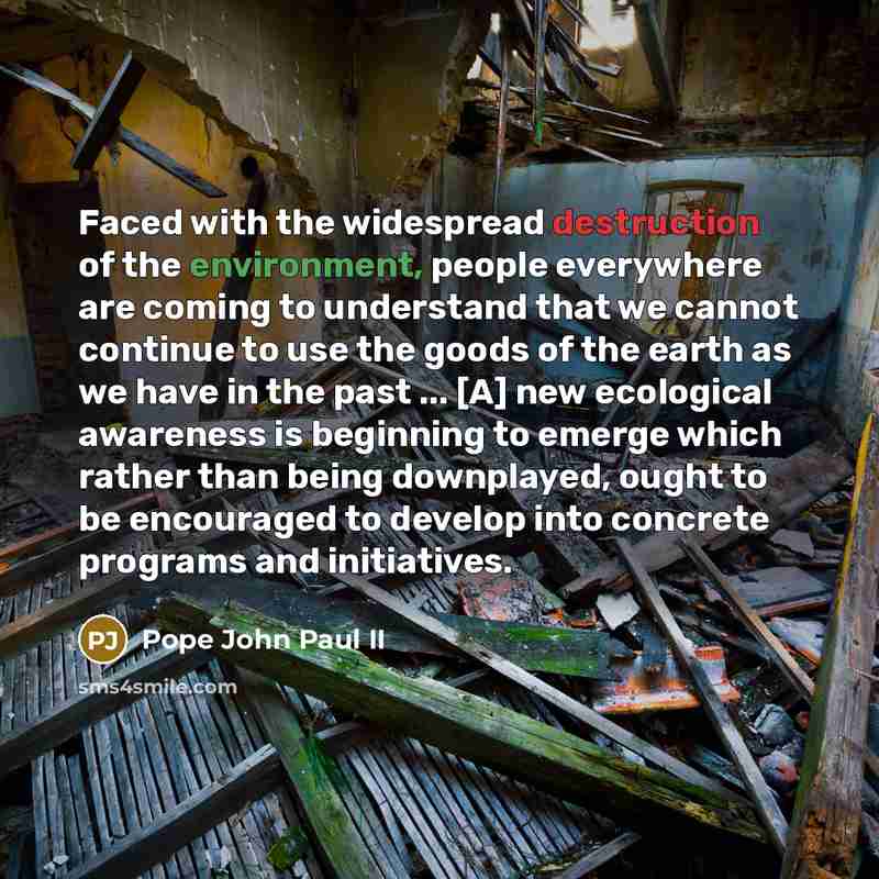 “Faced with the widespread destruction of the environment, people everywhere…” quote by Pope John Paul II