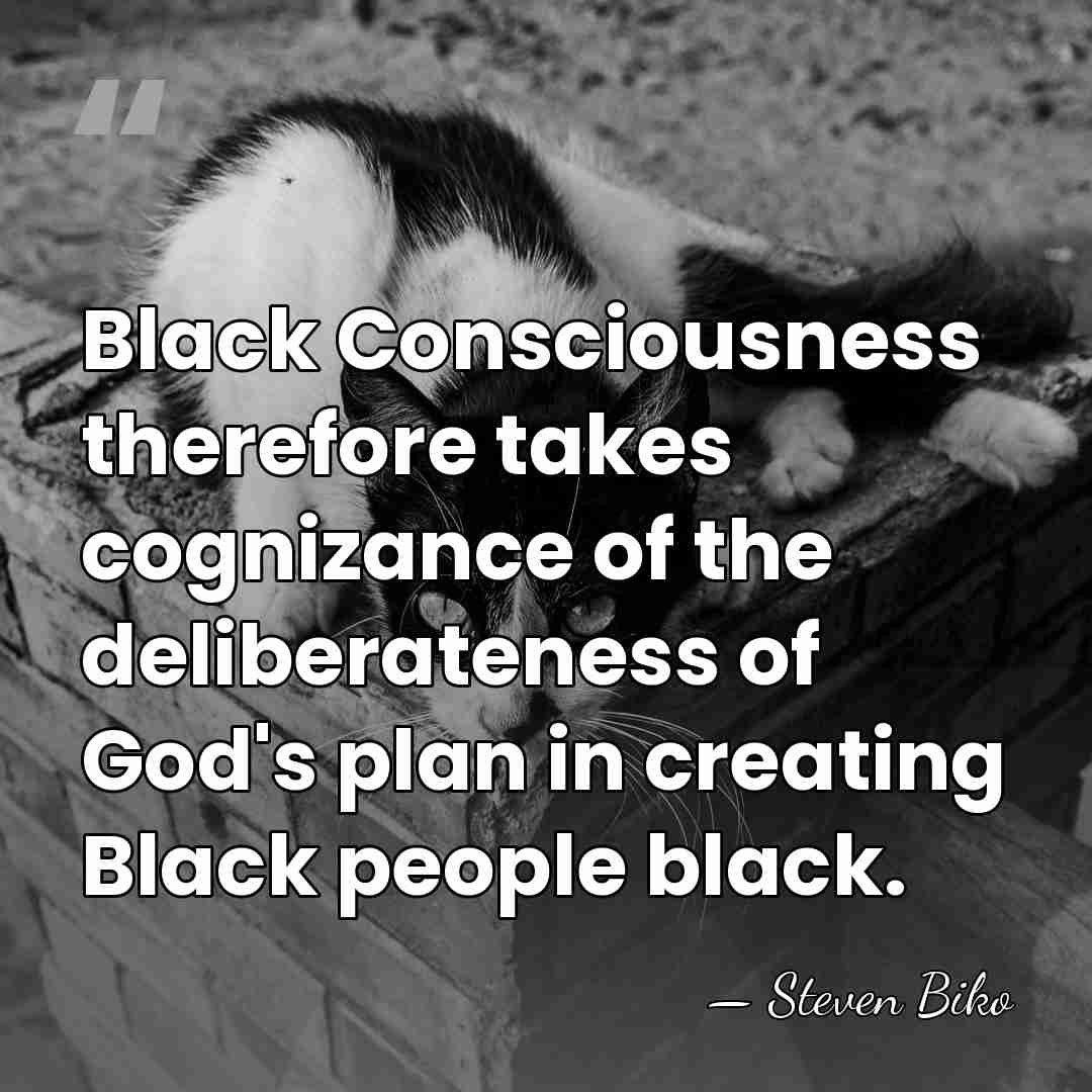 Black Consciousness therefore takes cognizance of the deliberateness of God's plan in&hellip; - Steven Biko